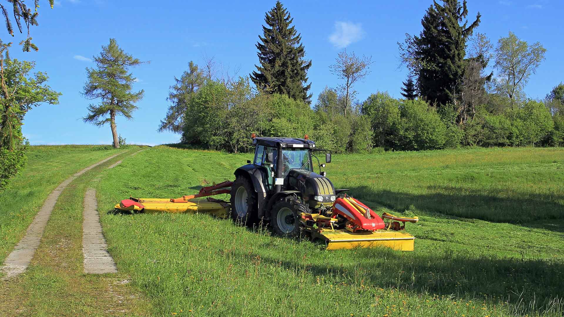 Brush hogging is necessary to do with large properties that also has tall grass or other vegetation.