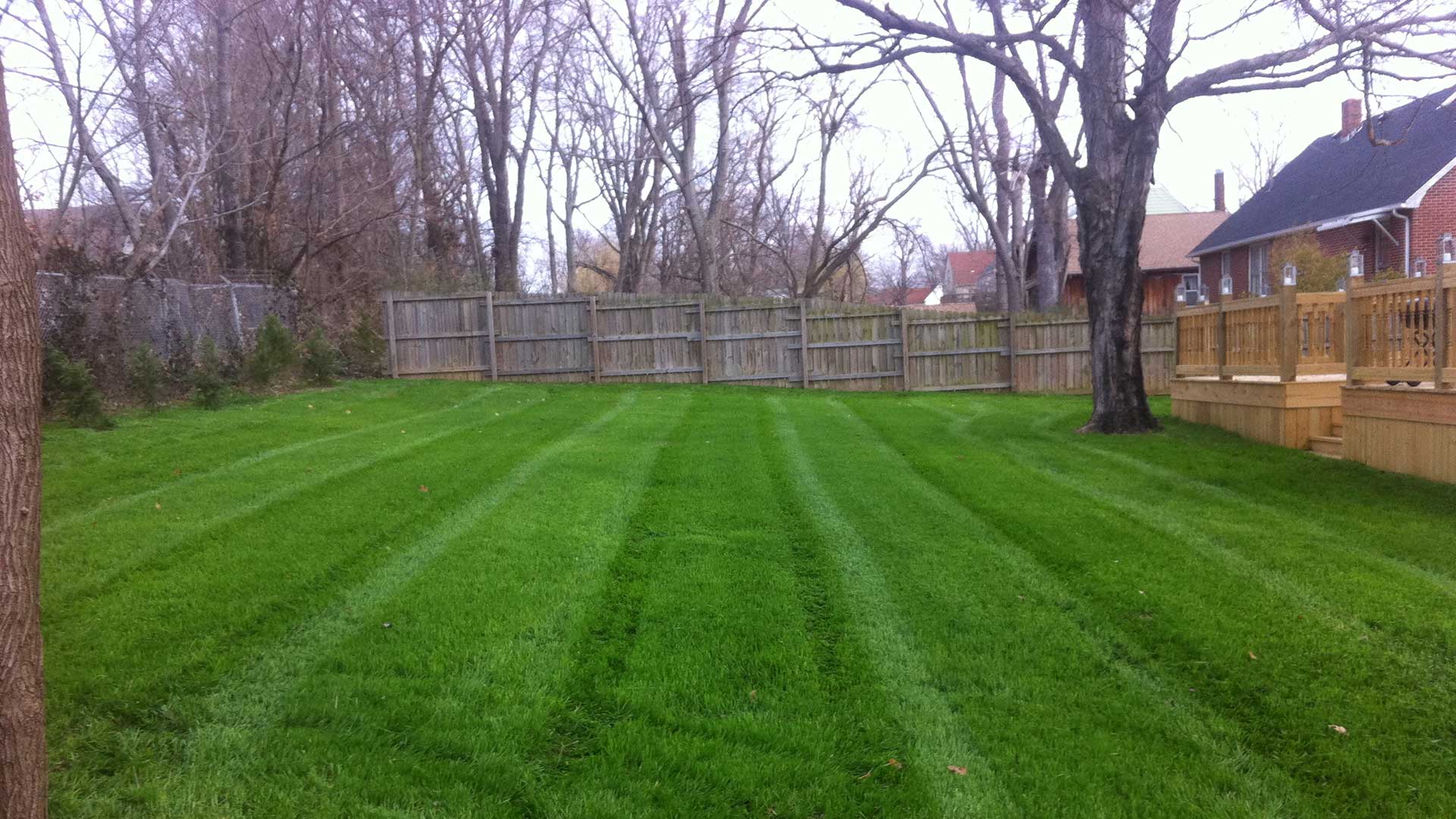 Healthy, fertilized, recently mowed and cared for by Phillips Bros Lawn Care.