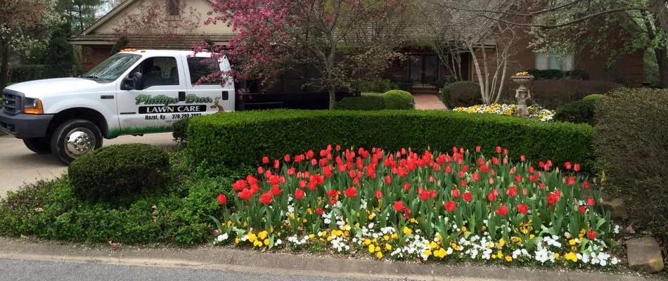 Our professionals have just completed installation of this landscape bed for a customer in Murray.