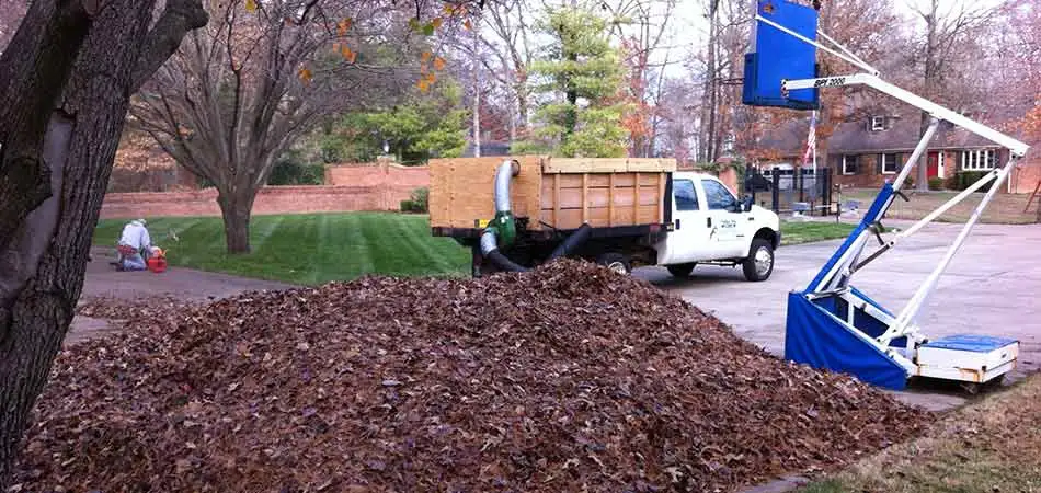 We are removing leaves with our vacuum truck for a customer in Mayfield.