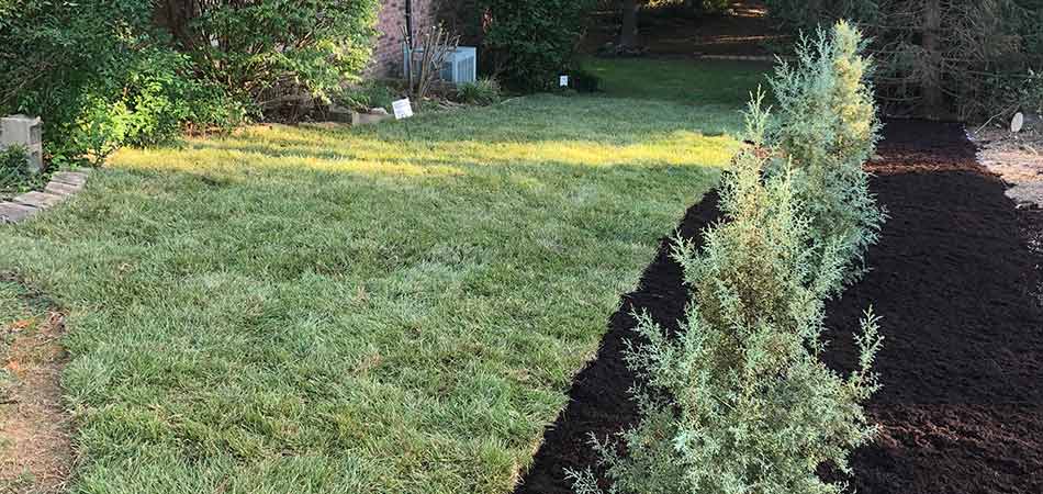We selected small trees that are popular to the area of Mayfield for this landscape bed.