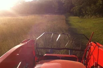 Bush Hog mowing a large overgrown property in Murray, KY.