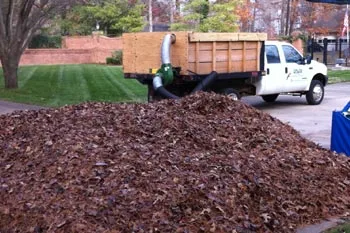A large pile of leaves in the lawn of a home in Murray, KY.